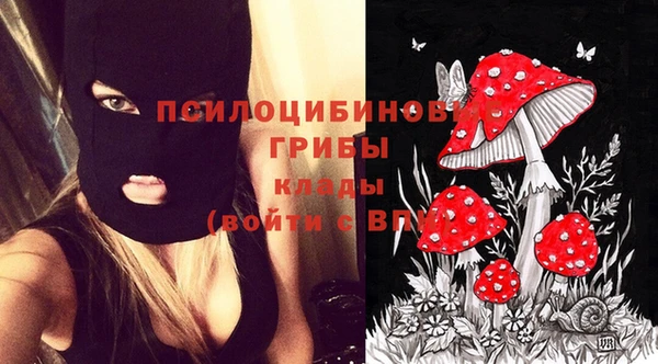 сатива Абдулино