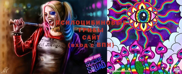 хмурый Абаза