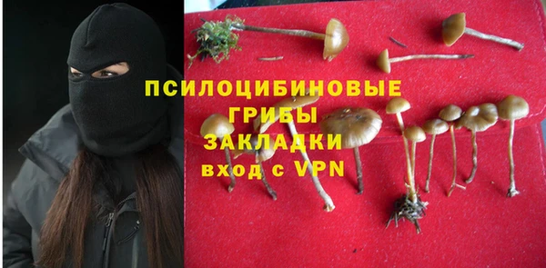 круглые Алексеевка