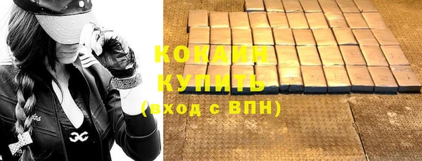 хмурый Абаза