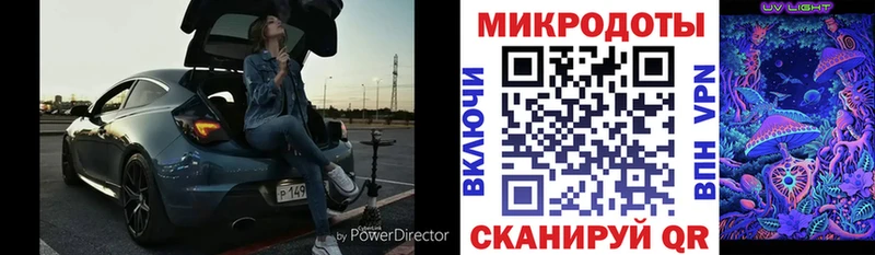 Псилоцибиновые грибы Psilocybe Гаврилов Посад