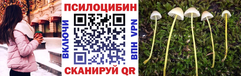 Галлюциногенные грибы мицелий  блэк спрут вход  Гаврилов Посад  наркота 